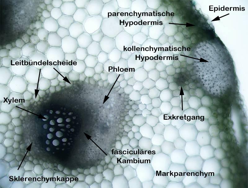 Überblick